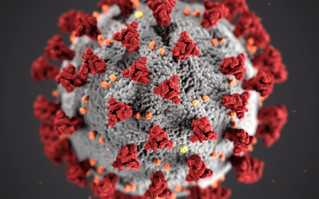 Test de coronavirus